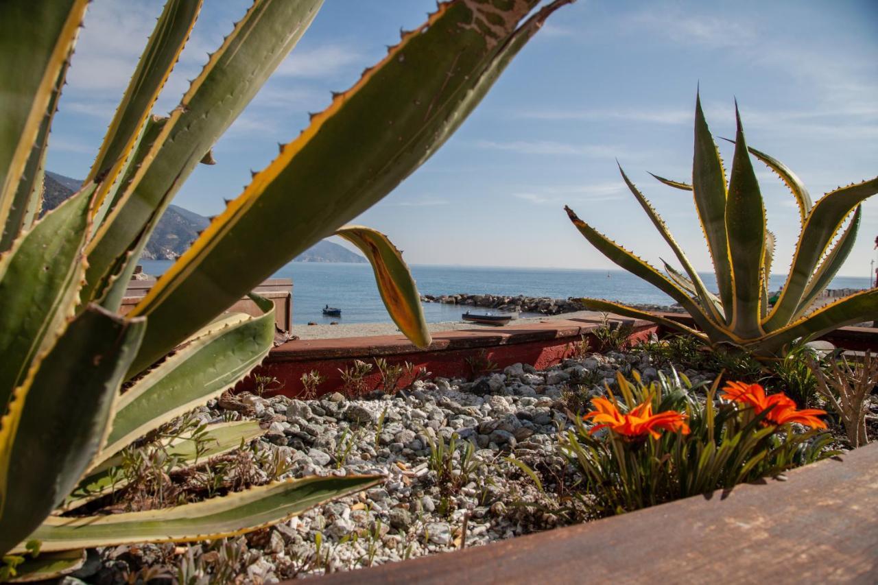 Come Eravamo Monterosso al Mare Eksteriør billede
